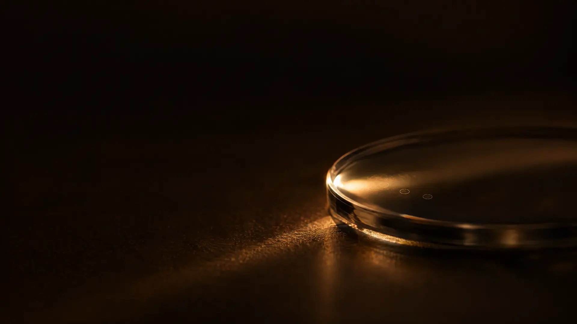 A lens surface in raking light, revealing two tiny etched circles.